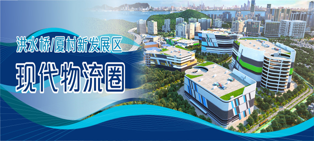 洪水桥 / 厦村新发展区现代物流圈研究报告